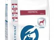 Alimento Royal Canin Hepatic Hills para perro enfermo hígado