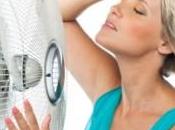 definitiva ¿qué causa sofocos menopausia?