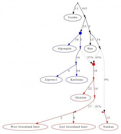 Filogenia de las poblaciones americanas (Nature) Filogenia de las poblaciones americanas (Nature)