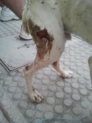 MUY URGENTE: BODEGUERO HERIDO EN LA CALLE, AYUDA POR FAVOR!!