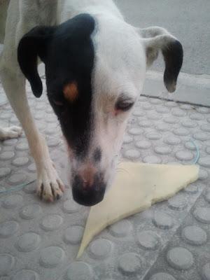 MUY URGENTE: BODEGUERO HERIDO EN LA CALLE, AYUDA POR FAVOR!!