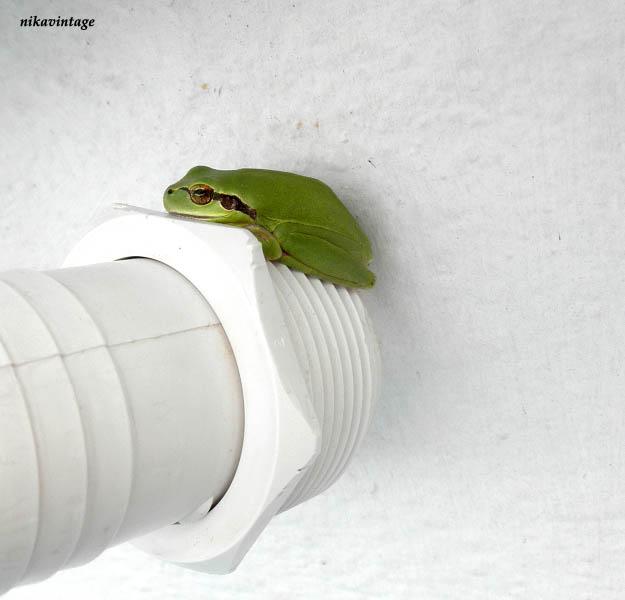 Una visita inesperada