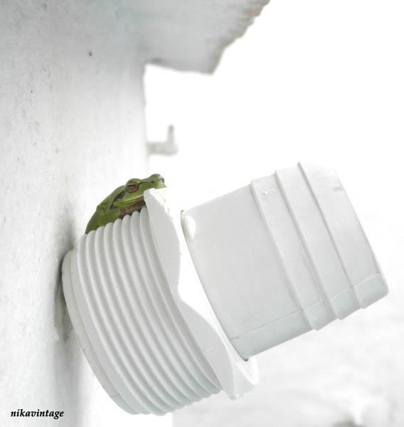 Una visita inesperada