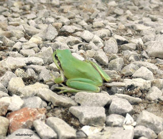 Una visita inesperada
