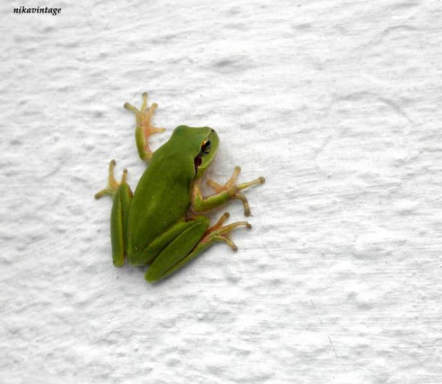 Una visita inesperada