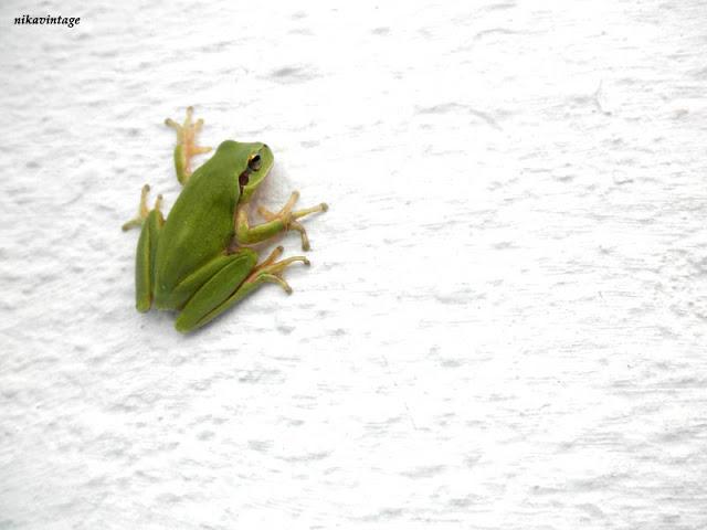 Una visita inesperada