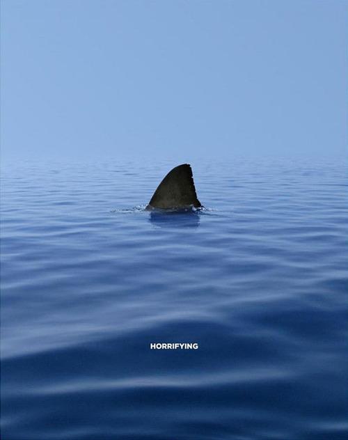 nevver:

World Wildlife Fund