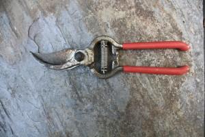 Una herramienta de poda para cada trabajo