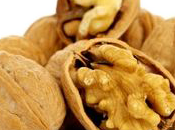 nueces aumentan calidad semen