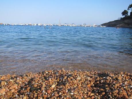 EL POST DE LA SEMANA #5