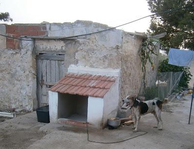 PERROS DEL HONDÓN EN MALISIMAS CONDICIONES. AYUDA URGENTE. (ALICANTE)