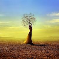 La simplicidad voluntaria