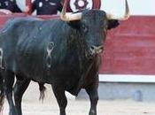 “Alcurrucenes” para Madrid Málaga