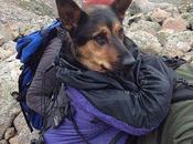 rescata montaña dueño dejó uerte ahora reclama