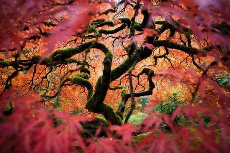National Geographic 2012 Winners