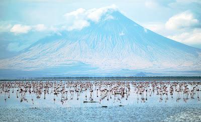 Tanzania quiere expulsar a los masáis de sus tierras‏.