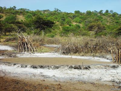 Tanzania quiere expulsar a los masáis de sus tierras‏.