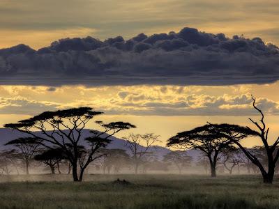 Tanzania quiere expulsar a los masáis de sus tierras‏.