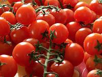 Los tomates de Pachino