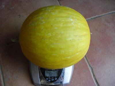 MELONES, COSECHA DEL 2012