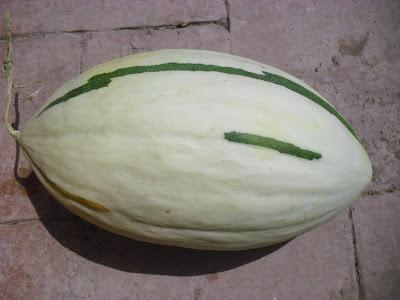 MELONES, COSECHA DEL 2012