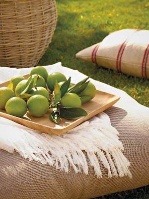 Inspirada en la naturaleza   /   Inspired by nature