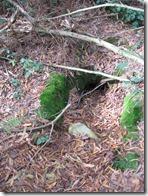 Cementerios de Luarca 012