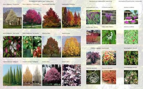 Proyecto de paisajismo en la sierra de Madrid