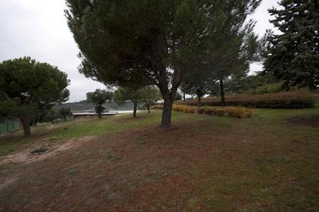 Proyecto de paisajismo en la sierra de Madrid