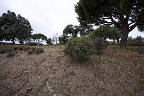 Proyecto de paisajismo en la sierra de Madrid