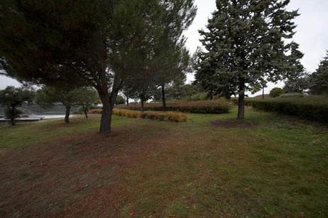 Proyecto de paisajismo en la sierra de Madrid