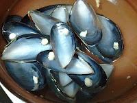 Mejillones Tigre o Empanados