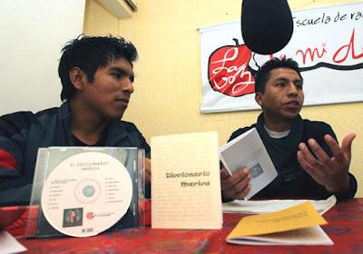 Crean en Bolivia el 'Diccionario Marica'