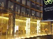Antara Fashion Hall*Desde Ciudad México