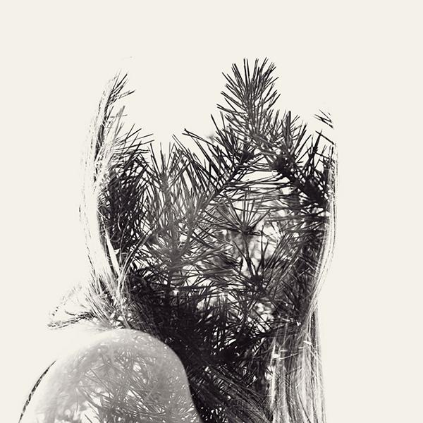 Christoffer Relander presenta “We are Nature”