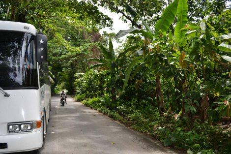 Birongo (Caracas), tierra de cacao y tambor