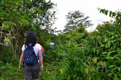 Birongo (Caracas), tierra de cacao y tambor