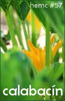 hemc #57 - calabaciín