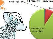 plagas medusas periodismo estival