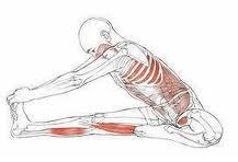 Un error común en los ejercicios de suelo