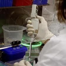 Un estudio en monos aumenta las esperanzas contra el VIH