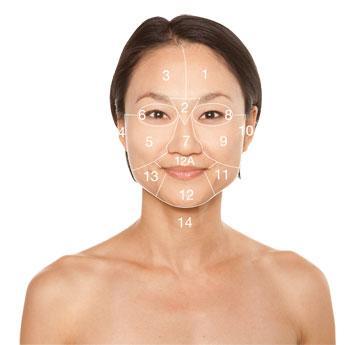 El mapa del rostro, según Dermalogica.