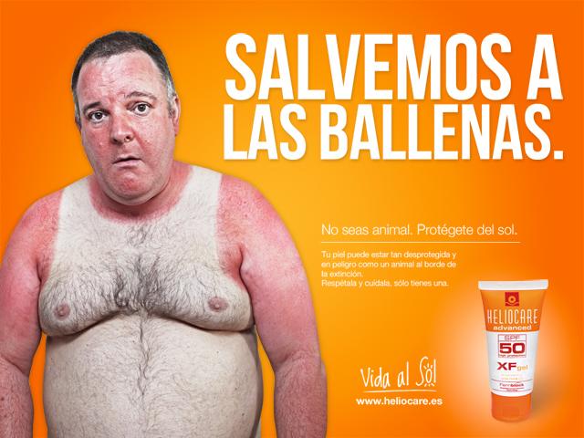 PELIGRO: Animales exóticos paseando por las playas de España