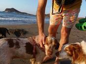 Historias adoptad@s. Vida