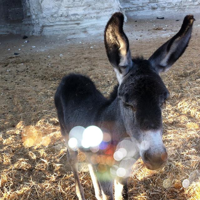 EL POST DE LA SEMANA #6