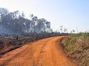 España Paraguay pasando tierra ayoreo