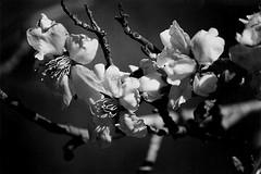 el tiempo detenido. volver a la frontera. the lengthy time. return to the border.