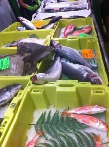 Santoña, rutas, tiendas, paseos, gastronomía…