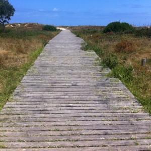 Santoña, rutas, tiendas, paseos, gastronomía…