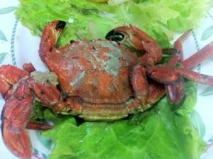 Santoña, rutas, tiendas, paseos, gastronomía…